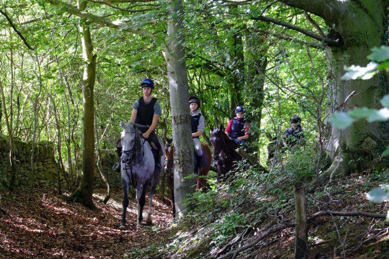 Having been for a hack they appear out of the woods..