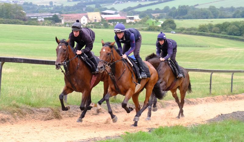 Younevercall and Cresswell Legend working with Minella Warrrior in behind