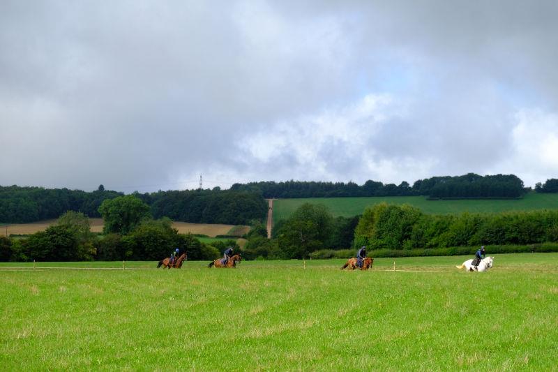Both gallops in use.