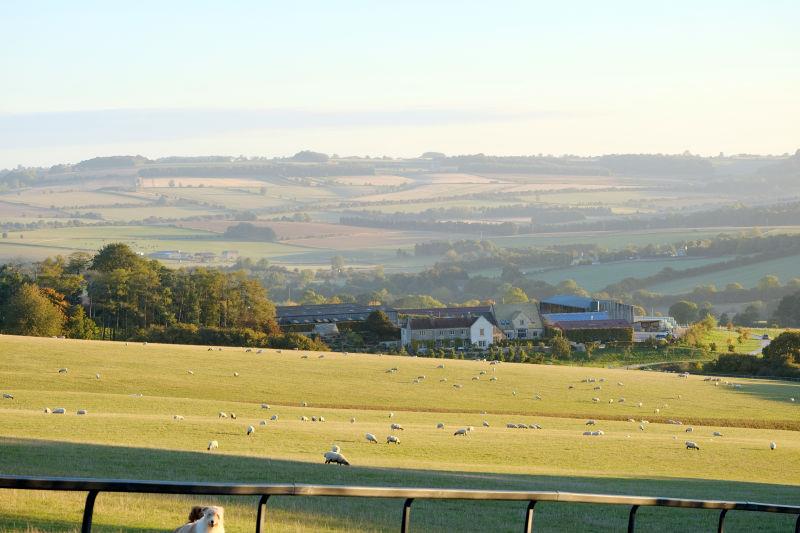 The view from the gallops..