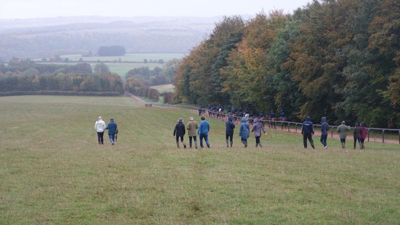 Walking back down the gallops after watching second lot