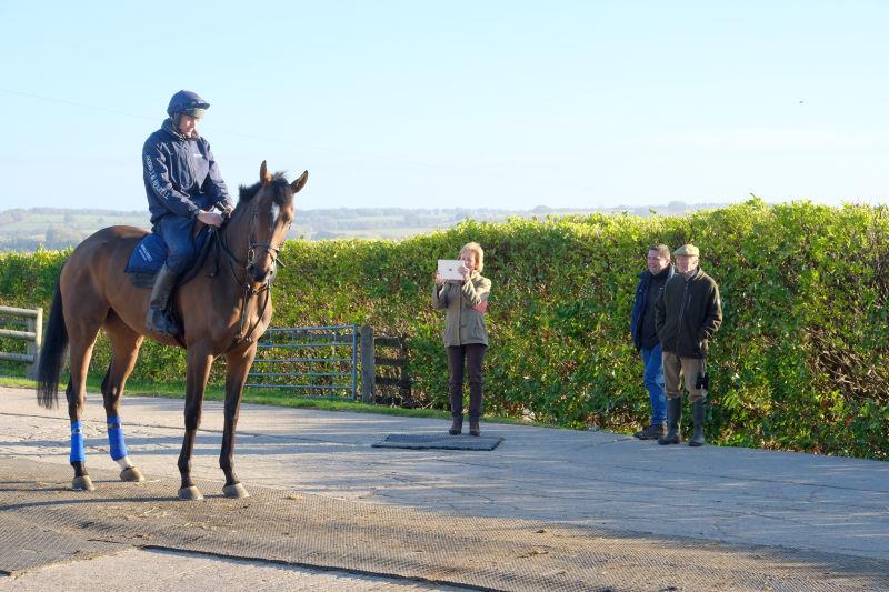 Mary Dulverton taking a picture of her horse Newtide