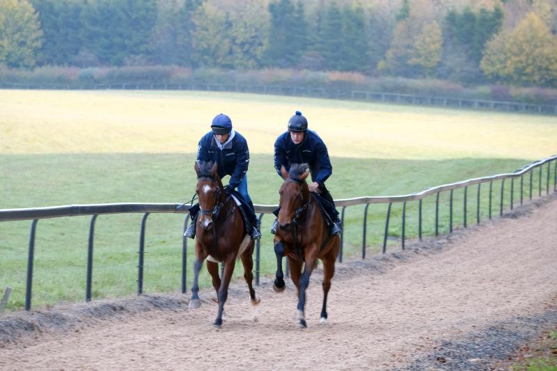 The Morozov gelding working with Bandon Roc