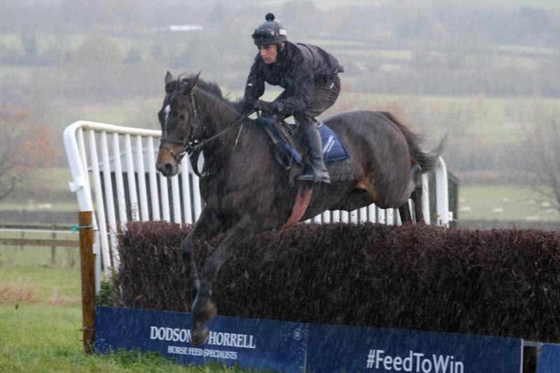 Vinndication schooling over fences with David Bass