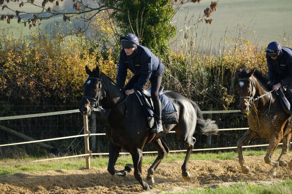 Johnny Ocean being followed by Charbel this morning on the rounds