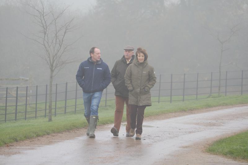 Walking to the gallops