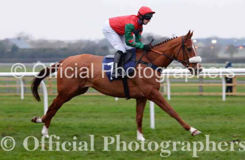 Great photos from Wetherby..and thanks for letting me use them. Prince LLywellyn heading to the start.. Stunning horse