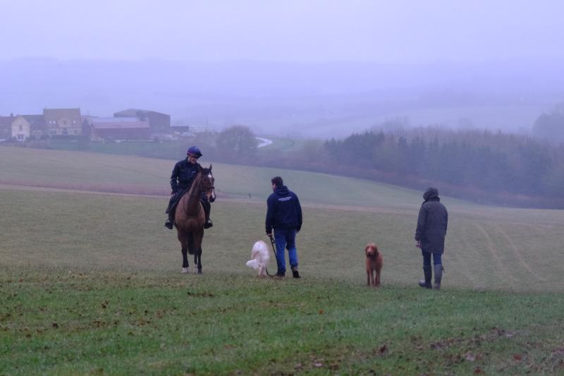 Chatting on the gallops