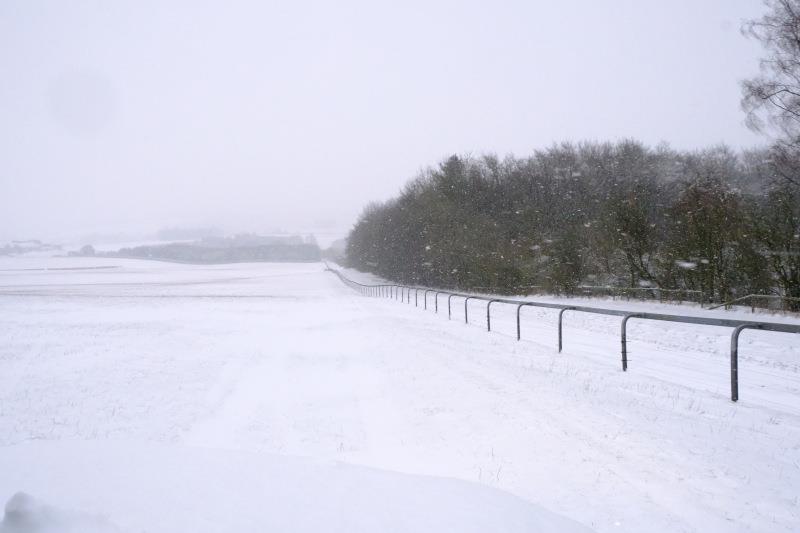 My all weather gallop is no good in snow..