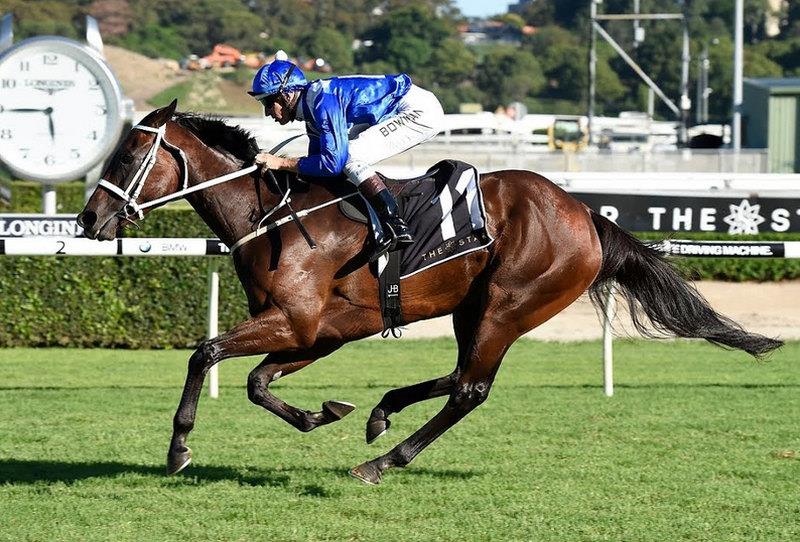 Australian wonder mare Winx won again this morning making it 30 wins on the trot!!