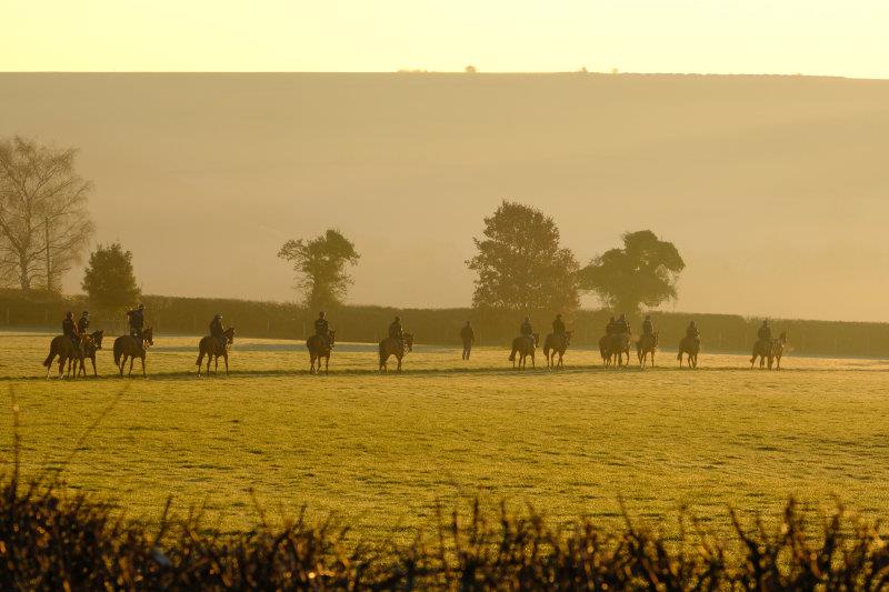 Heading to the round gallop.. stunning morning