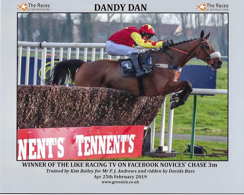 Dandy Dan winning at Ayr yesterday