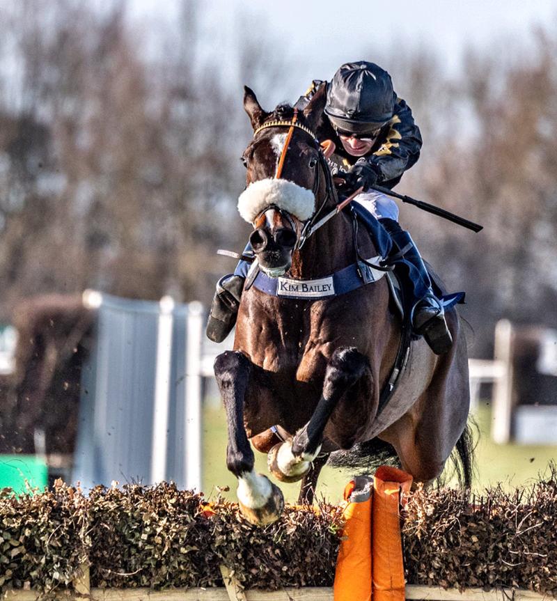 Great photo of Hes No Trouble winning at Huntingdon last week..