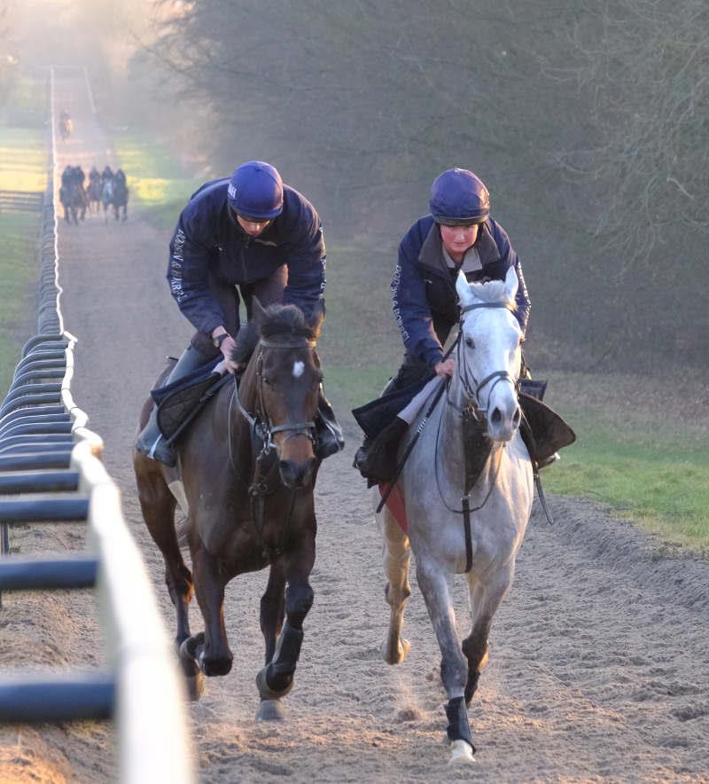 Minella Warrior and Silver Kayf
