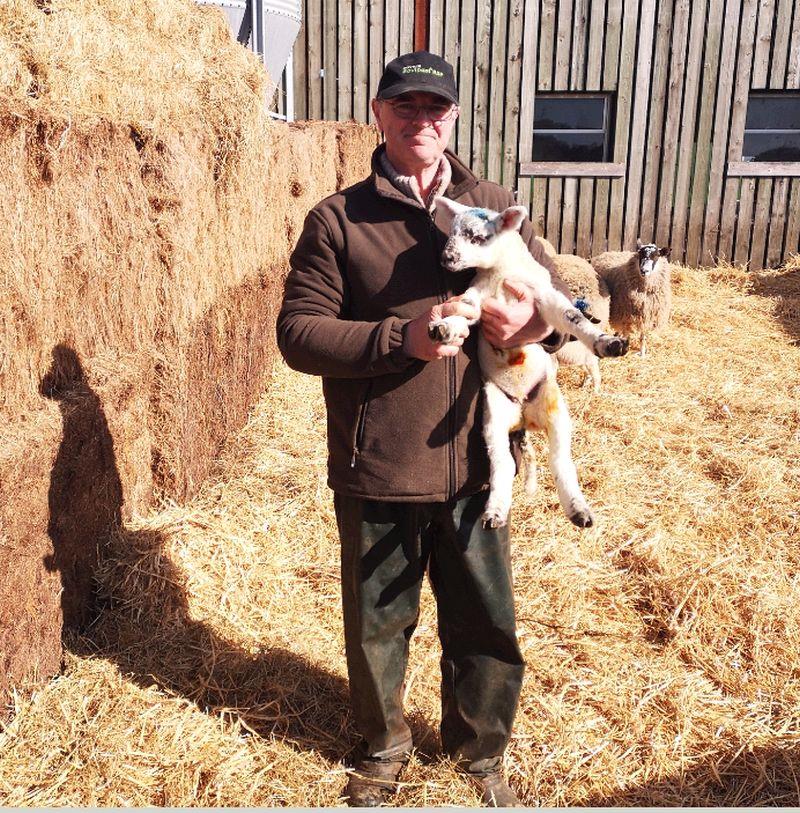 Gordon with one of his first lambs.. Many more to come.. 