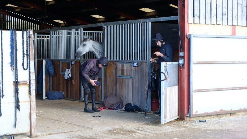 Joey and Max sorting tack to ride out