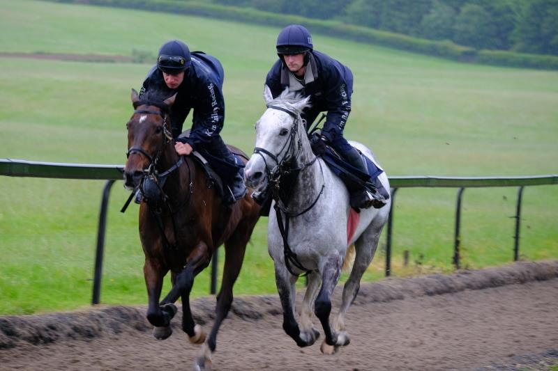 Younevercall and Sunblazer working this morning
