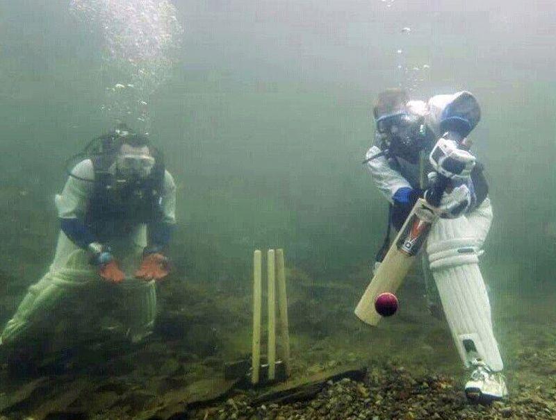 Cricket.. underwater 
