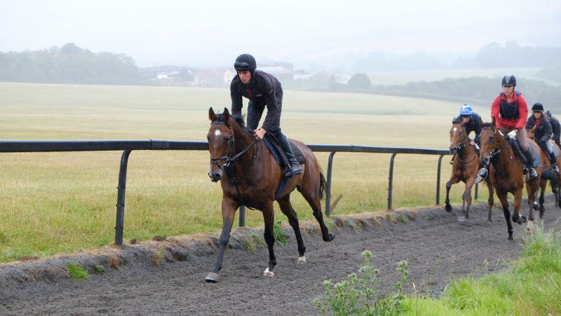 Trojan Star leading first lot in the rain.. All going well?