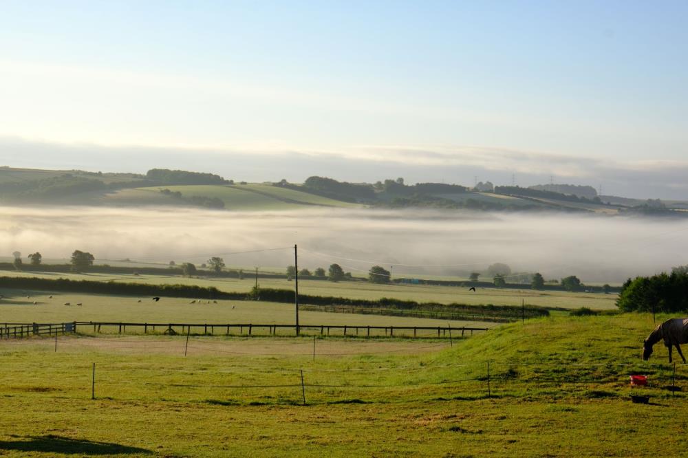 This mornings view looking towards my round gallop.. 