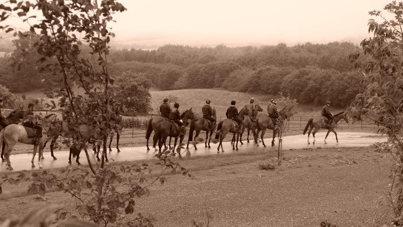 	Third lot heading to the gallops in the rain	