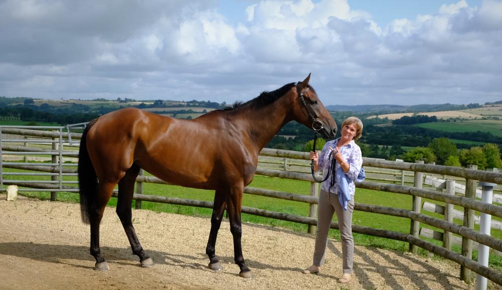 Sandra Steer-Fowler with her horse Cinderbella