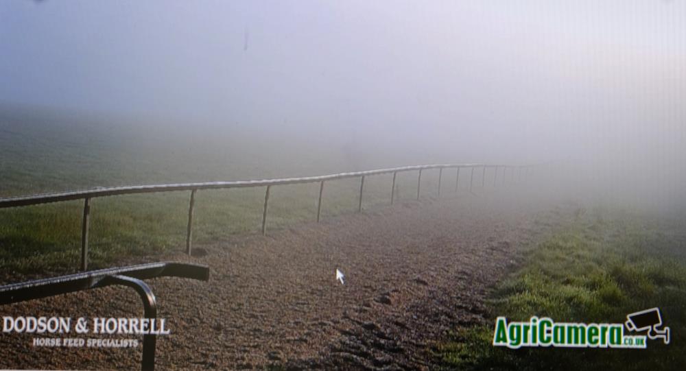 Gallop web camera first thing this morning