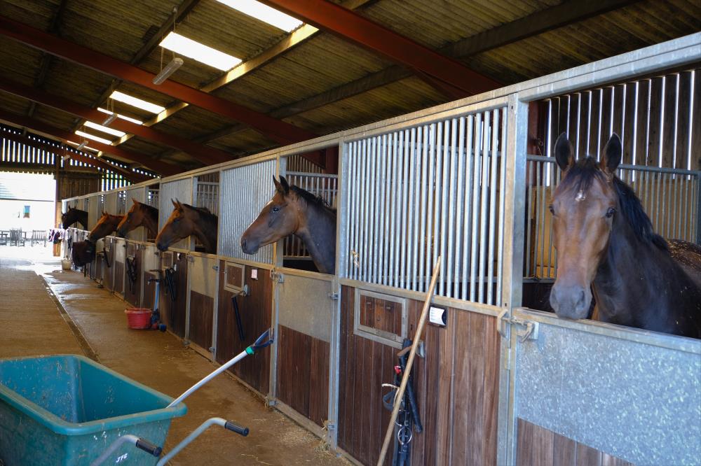 Safely in their stables....
