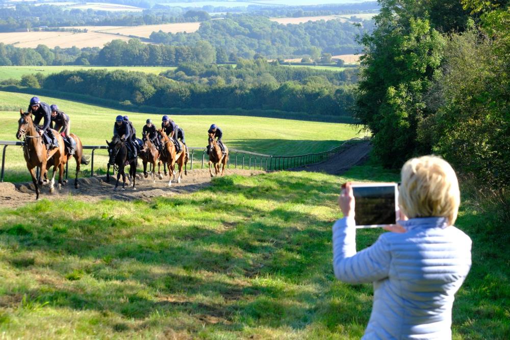 Mary filming her horses
