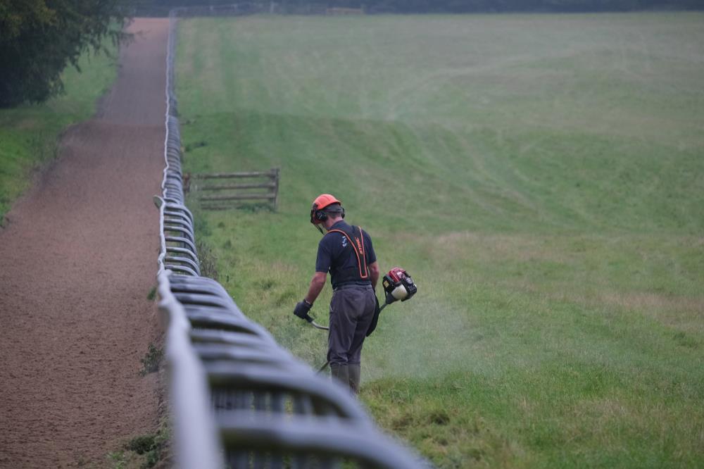 Higgs strimming the sides of the gallop