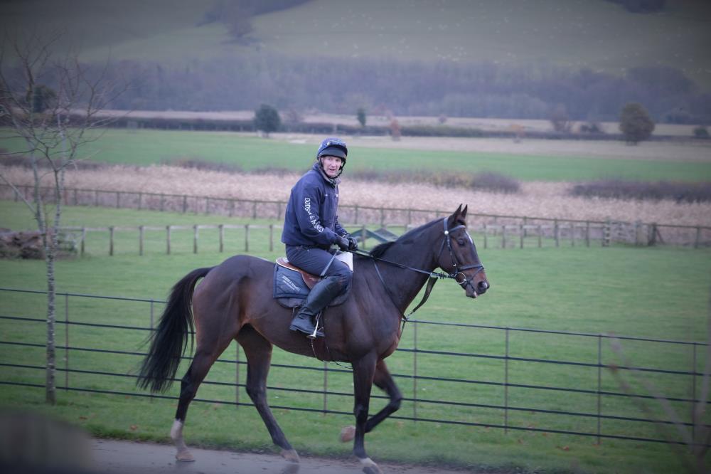 Wandrin Star heading to the gallops second lot