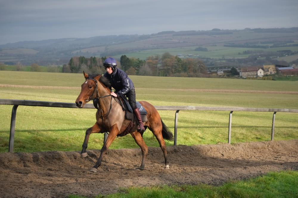 Flirtatious Girl having her first canter at Thorndale