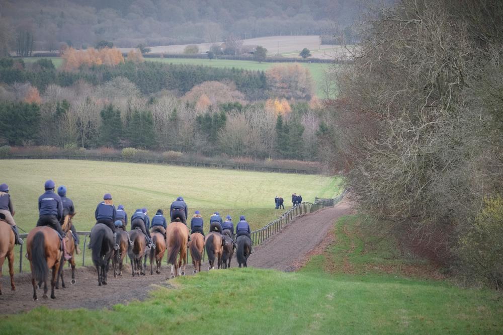 Heading down the gallop