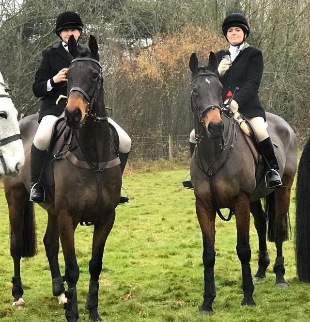 Retired racehorses enjoying thier new life..Mr Brinkley and Un Ace enjoying a day out