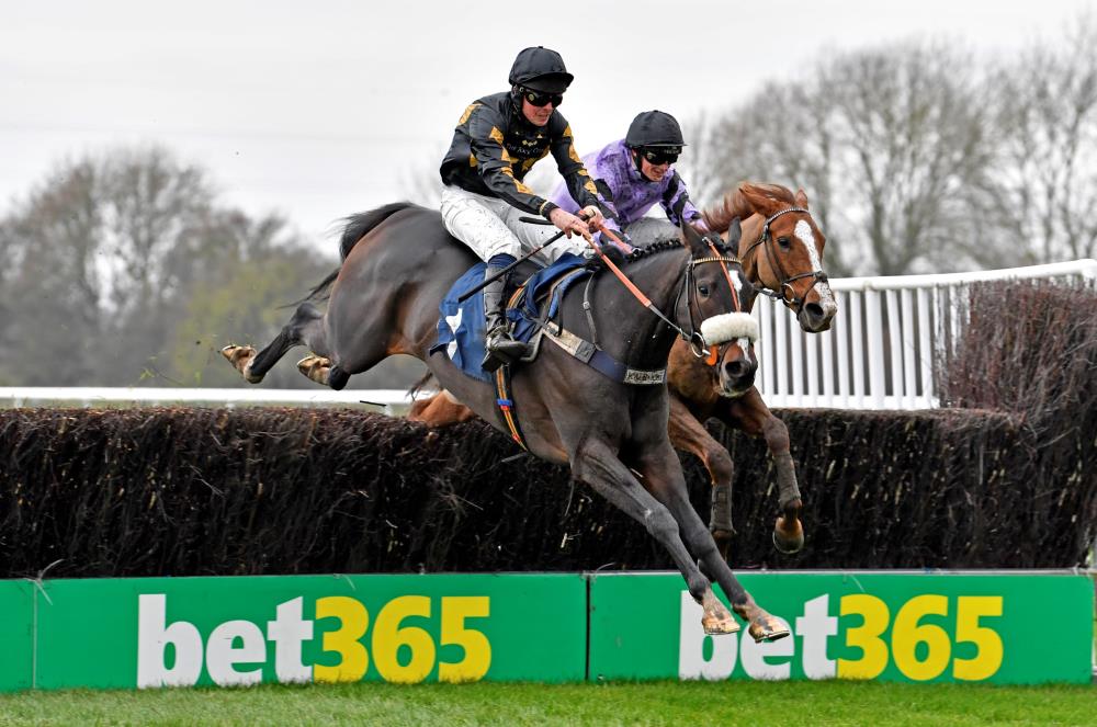 Fran Altoft took this picture of Hes No Trouble winning at Huntingdon last Saturday..
