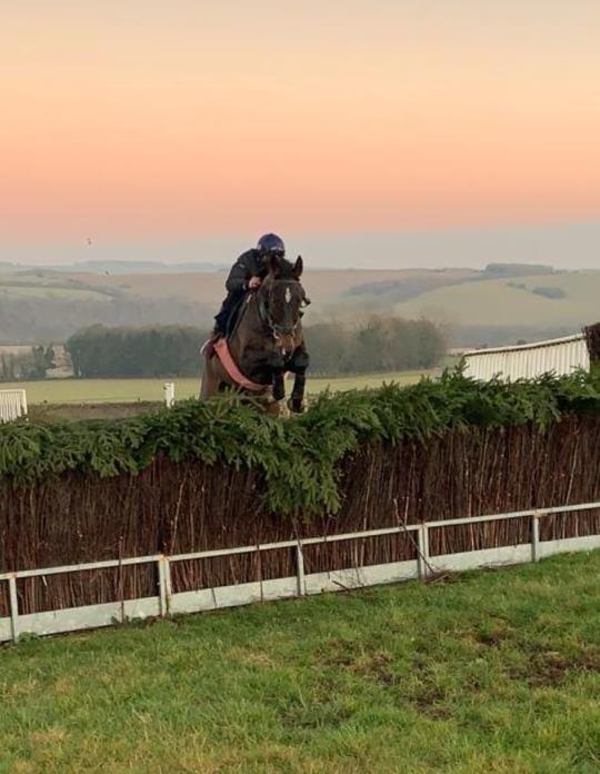 Wandrin Star jumping our Grand National style fence last night