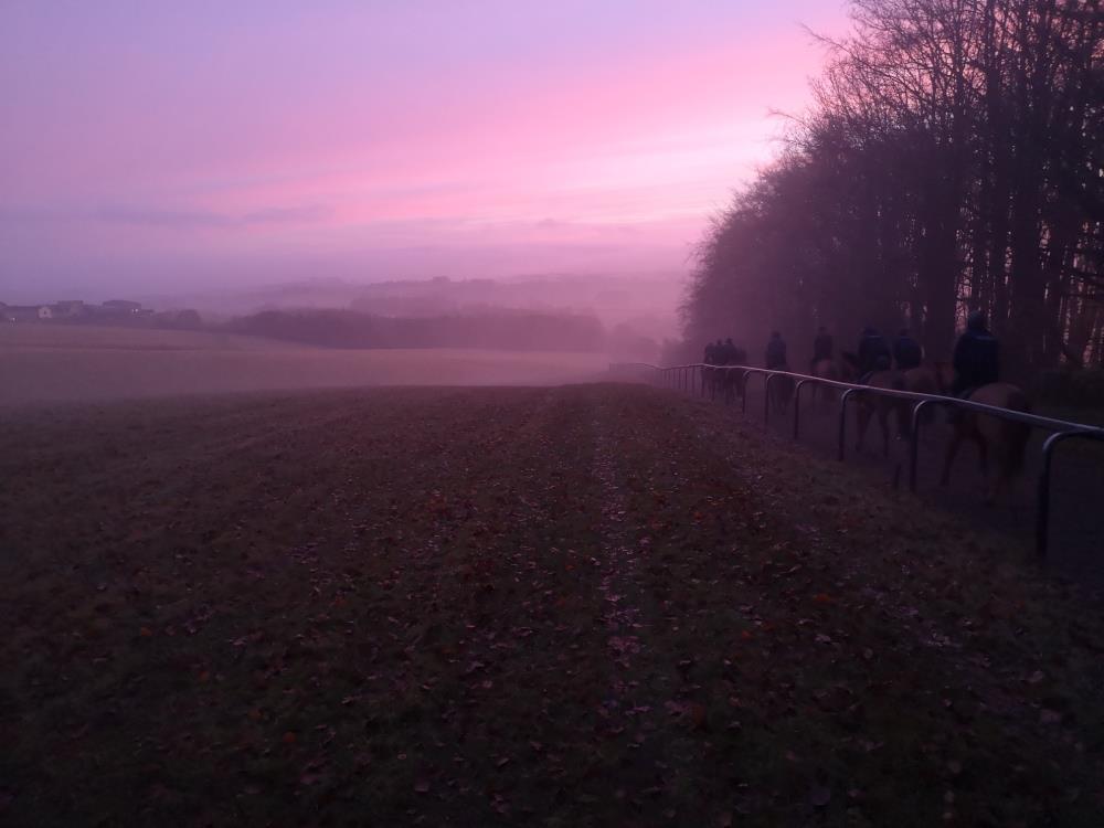 Heading down the gallop first lot this morning.