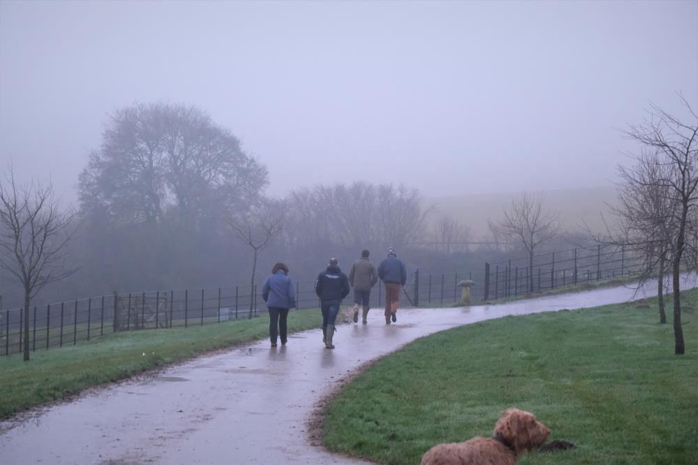 Walking to the gallops second lot