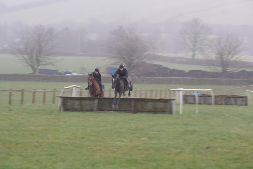 Owbeg and Happygolucky jumping in the pouring rain.. almost a blizzard!