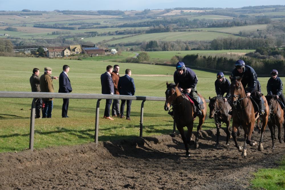 Cantering up the gallop
