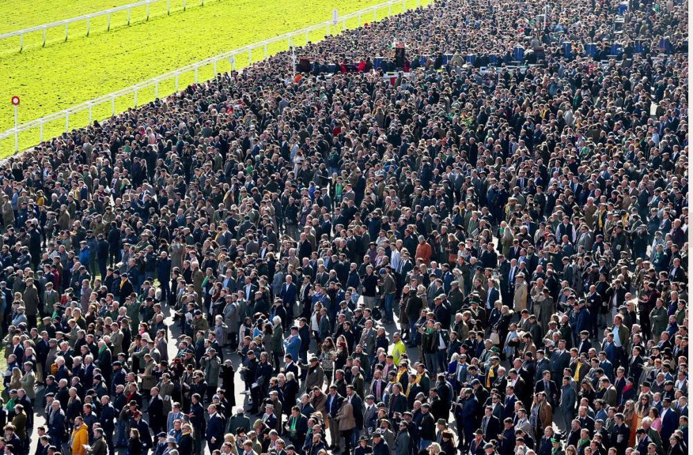 Just a small crowd yesterday at Cheltenham