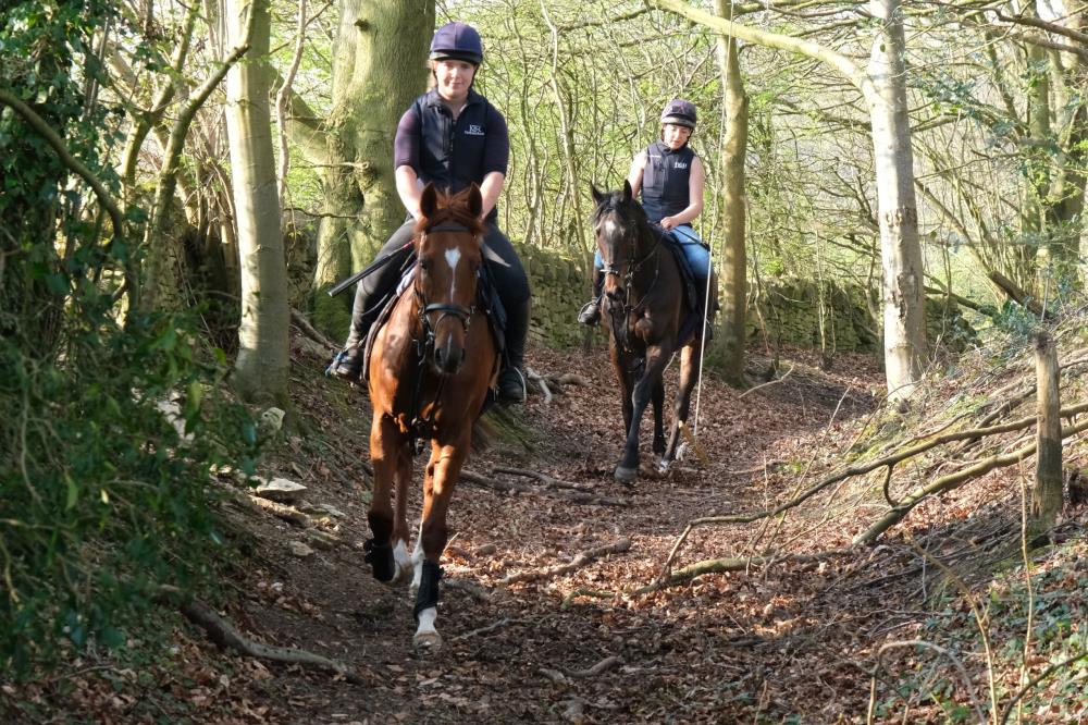 Rhosneigr leading Blazon through the woods and past a swing!