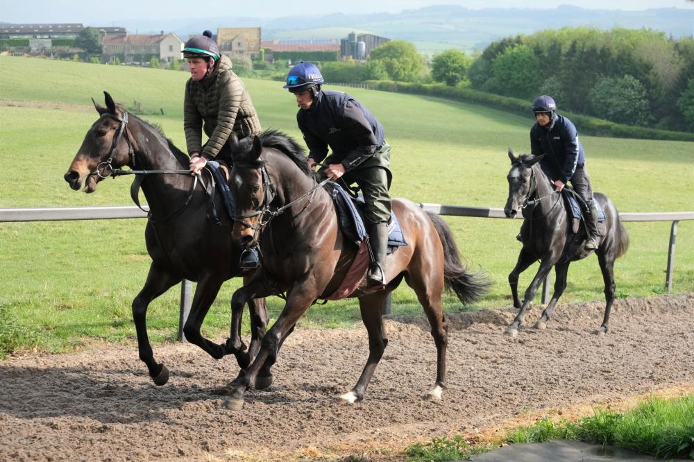 Heros De Romay and Blazon cantering upsides