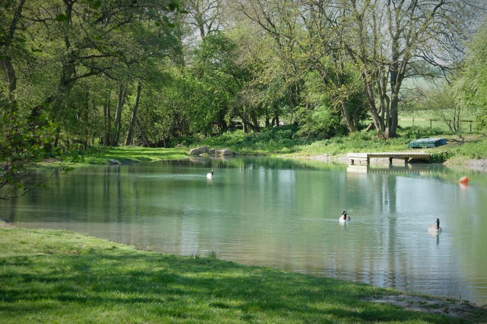 Stunning pond which is situated between the paddocks