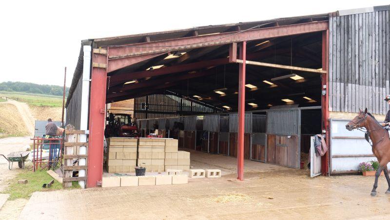 Un Ace walking past where the new stables are going. Filling in the barn with another 9 boxes.