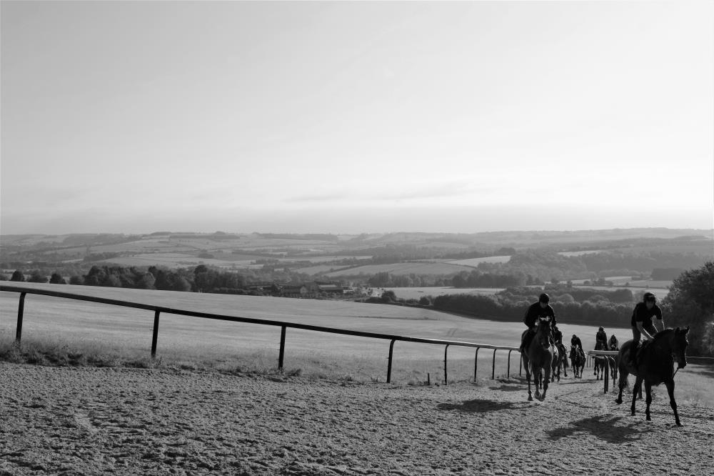 Top of the gallop