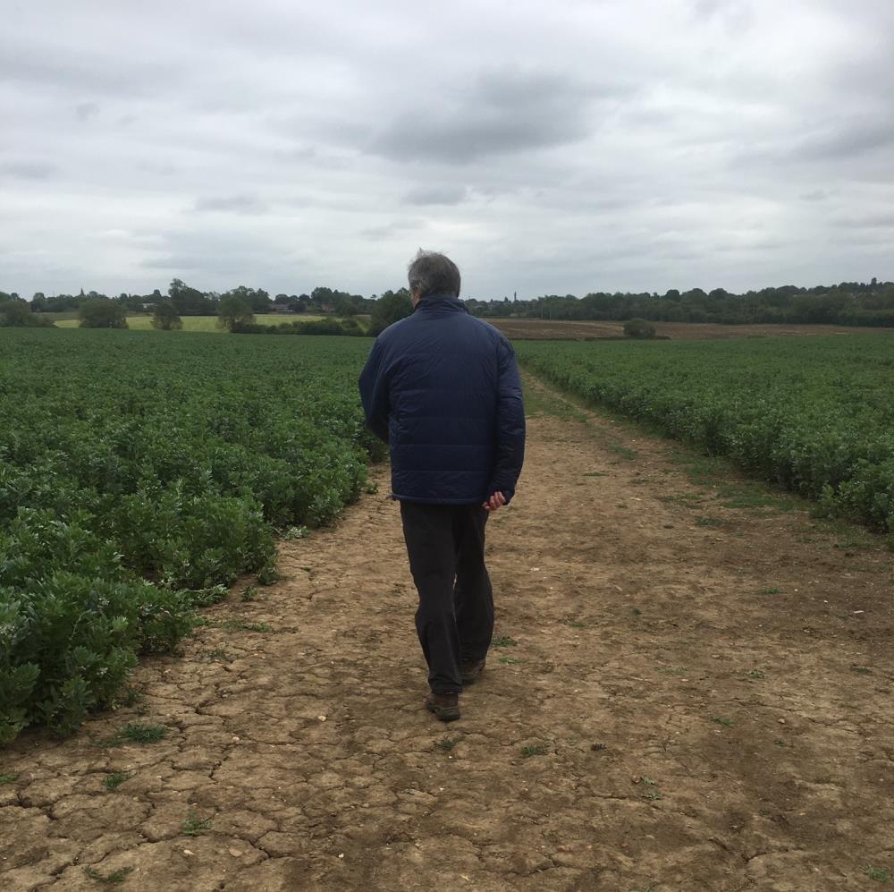 Nick Cook walking through his very dry looking veggy patch.