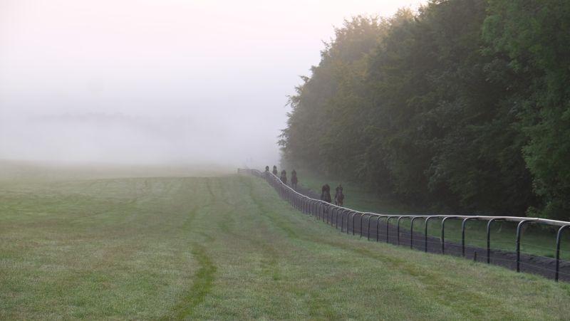 Working out of the fog first lot