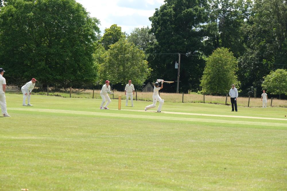 Archie at the crease