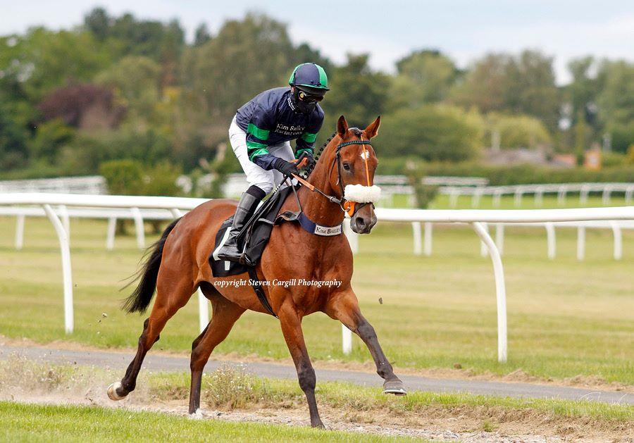 El Presente heading to the start yesterday at Market Rasen.. Picture by Steven Cargill.. Thanks